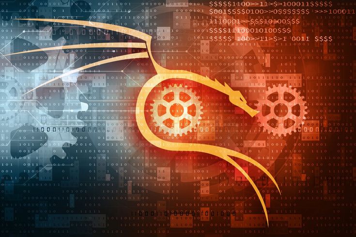 Kali Linux 2024.3 aggiunge 11 nuovi strumenti di pentesting